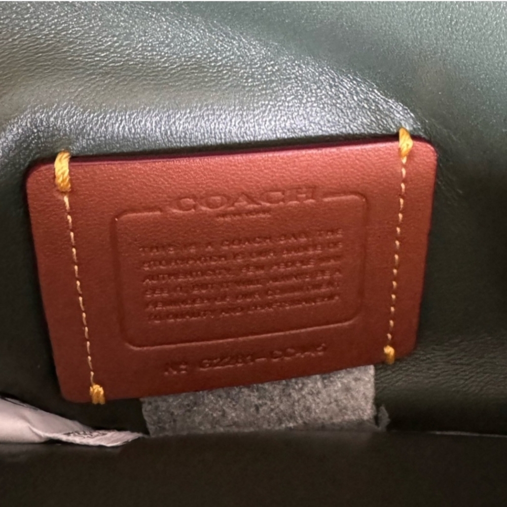 Coach Pillow Tabby 26 Shoulder Bag, Green Shearling - Picture 6 of 7